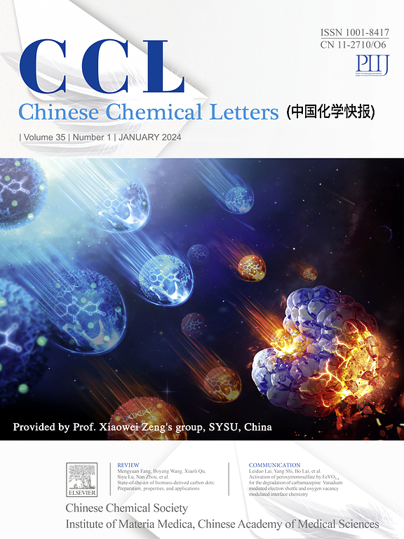 Go to journal home page - Chinese Chemical Letters